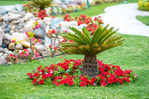 Landscape Design & Installation
