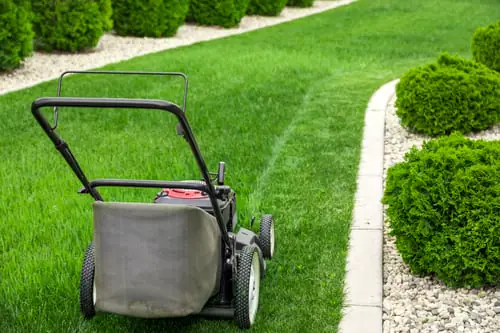 Lawn Care & Maintenance